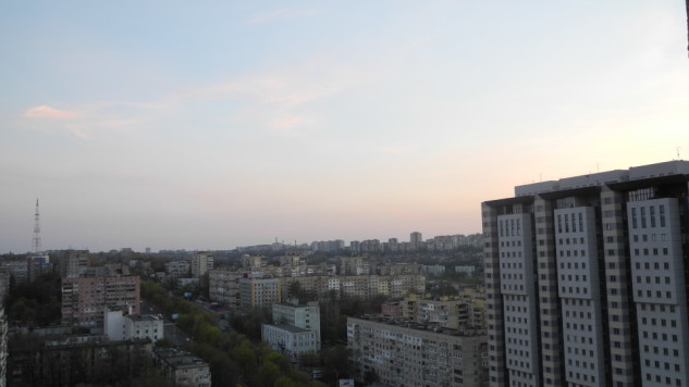 16 вид
